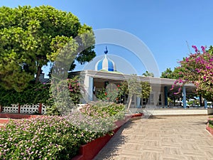 Beautiful plants and palm trees, landscaping in a hotel on vacation in a warm tropical eastern paradise country southern resort