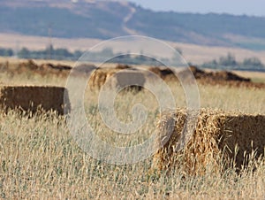 Beautiful plateau field Spain harvests straw bales summer heat