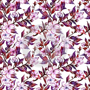 Beautiful plum tree twigs in bloom on white background. Pink flowers and red and purple leaves. Spring seamless floral pattern.