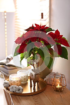 Beautiful poinsettia, burning candles and decorative deer on wooden table indoors. Traditional Christmas flower