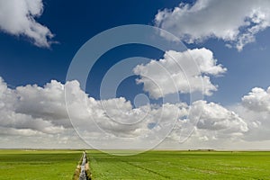 Beautiful polder landscape in Holland with typical Dutch clouds