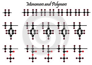 Beautiful polymer molecules and their lattices photo