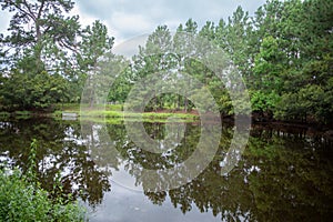 Beautiful pond in a forest with nice reflections of the trees and the cloudy blue sky.