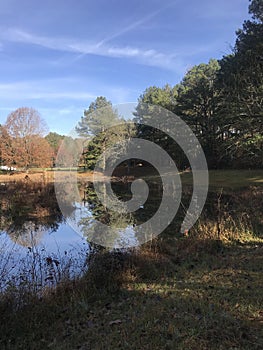 Beautiful Pond Lake and Trees Landscape on Autumn Day in Alabama USA