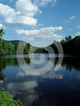 Beautiful pond landscape photo