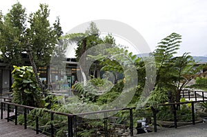 Yuan Sen Applied Botanical Garden Taitung photo