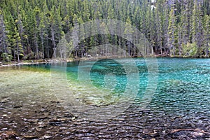 Beautiful pond and reflective colors, Grassi lake, canmore alberta