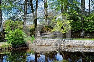 A beautiful pond scene with shrubs, trees, leaves and grass surrounding the pond with a blue sky and clouds in the background