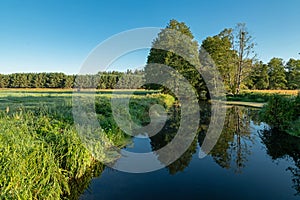 Beautiful pond in sunlight and blue morning sky