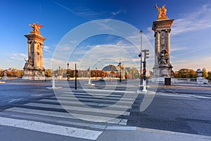 Beautiful Pont Alexandre III bridge over the Seine river, Paris. France