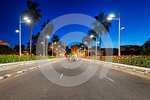 Beautiful Pont de les Flors bridge with flowers in Valencia, Spain