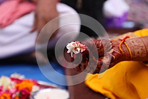 BEAUTIFUL POOJA FLOWER IN GIRLS HAND