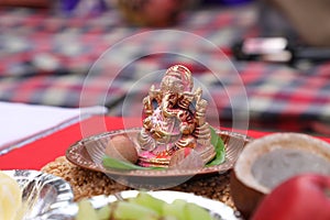 BEAUTIFUL POOJA FLOWER IN GIRLS HAND