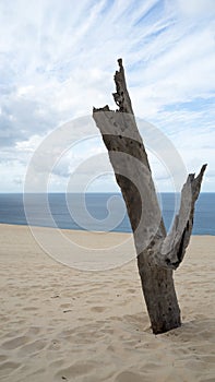 Beautiful Portrait Clouds Sand And Sea 3