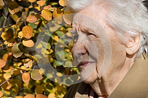 Beautiful portrait of an elder woman outdoors