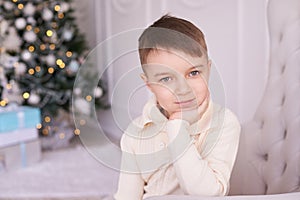 Beautiful portrait. Little boy. Christmas interior. Horizontally
