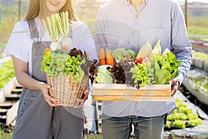 Beautiful portrait young asian woman and man harvest and picking up fresh organic vegetable garden in basket