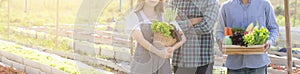 Beautiful portrait young asian woman and man harvest and picking up fresh organic vegetable garden in basket
