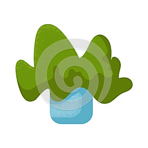 Beautiful potted home indoor plant. Vector illustration. House decor icon. Houseplant with green foliage in blue pot.