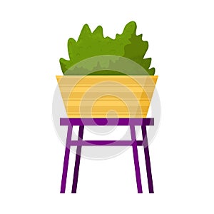 Beautiful potted home plant on stool. Decorative indoor bush. Vector illustration. Trendy house decor. Green houseplant