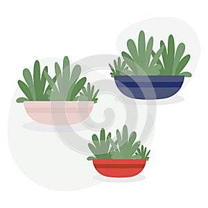 Beautiful pottery plant on white background vector