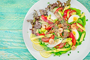 Beautiful prawn salad with cucumber, tomatoes, lettuce, avocado and canned octopus
