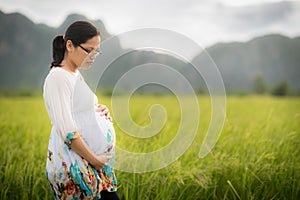 Beautiful Pregnant Asian Woman in Rice Field