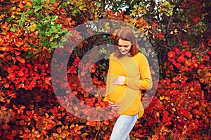 Beautiful pregnant woman in autumn.