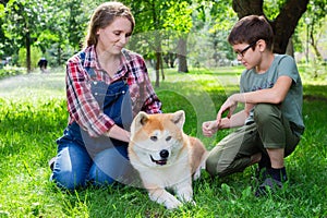 Beautiful pregnant woman in blue denim overalls with her son and Japanese dog Akita inu in the park