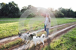 Beautiful pregnant woman with dogs in green sunny nature