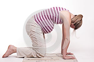 Beautiful pregnant woman fitness