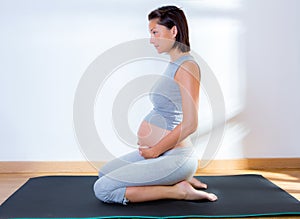 Beautiful pregnant woman gym fitness exercise