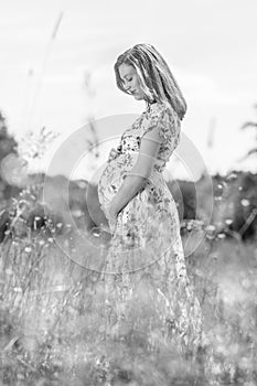 Beautiful pregnant woman in white summer dress in meadow full of yellow blooming flovers.