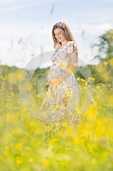 Beautiful pregnant woman in white summer dress in meadow full of yellow blooming flowers.