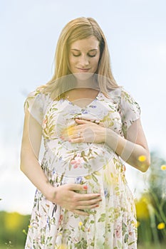 Beautiful pregnant woman in white summer dress in meadow full of yellow blooming flowers.