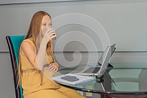 Beautiful pregnant woman working on laptop. Young businesswoman working in her office