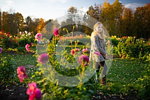 Beautiful preteen girl in blossoming dahlia field. Child picking fresh flowers in dahlia meadow on autumn day