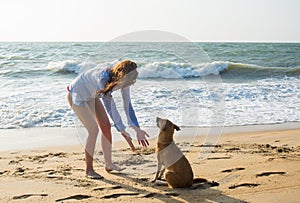 Beautiful pretty young woman playing with the dog on the beach