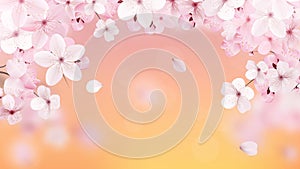 Beautiful print with blossoming light pink sakura flowers and place for text. Cherry on the background of the sunset. Realistic