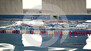 Beautiful professional swimmer swiming crawl stroke in the pool, camera dolly shot