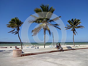 Beautiful Progreso Beach