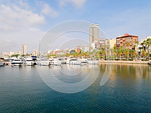 Beautiful promenade in Alicante. View of palm trees and port.
