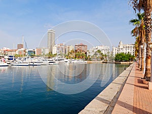 Beautiful promenade in Alicante. View of palm trees and port. Spain