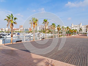 Beautiful promenade with palm trees in Alicante. Spain