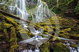 Beautiful proxy falls in Oregon forest