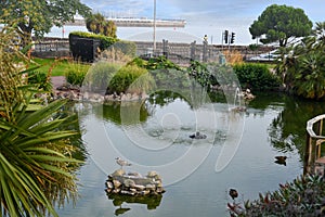 Beautiful public park in Torquay at the English Riviera