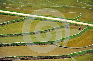 Beautiful PuLuong rice terraces