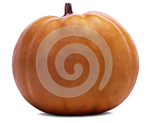 The Beautiful Pumpkin is isolated over white and transparent background (Optional PNG file).