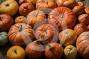 Beautiful pumpkins for Halloween lie on the wooden floor. Pattern