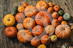 Beautiful pumpkins for Halloween lie on the wooden floor. Pattern